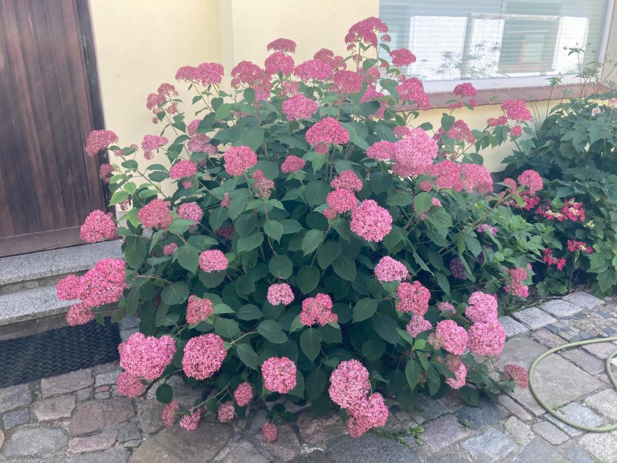 Stralsundia Apartment Stralsund